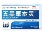 五黑草本灵是什么 五黑草本灵的功效与作用
