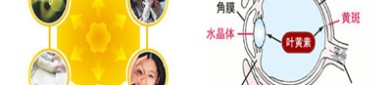 婴幼儿可以服用叶黄素吗  解读关于叶黄素的小秘密