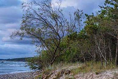 治疗便秘的偏方12