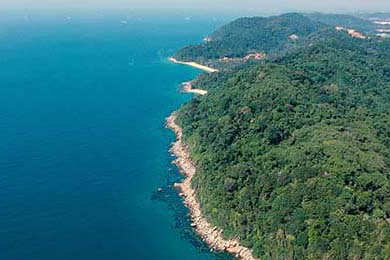 热敷疗法治便秘